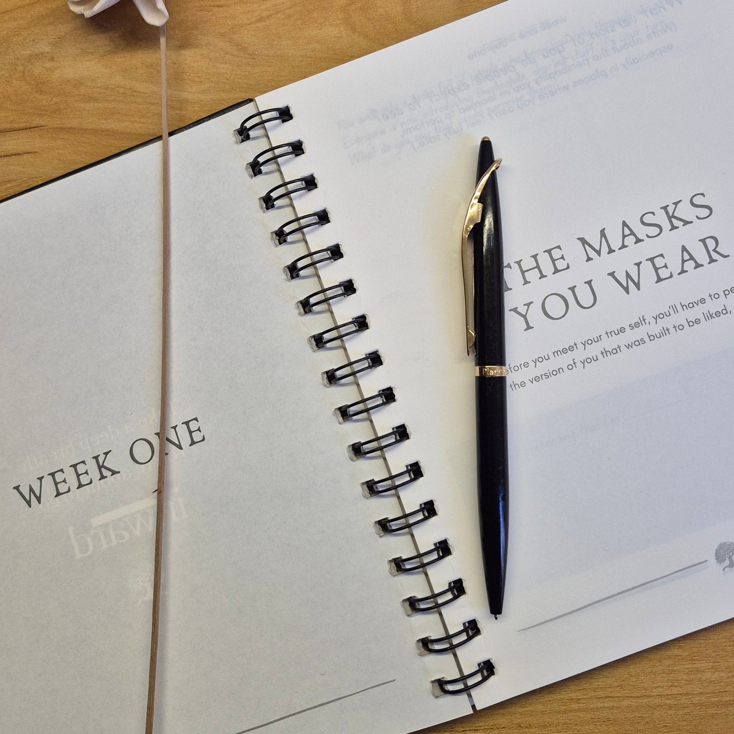 The Main Character Journal